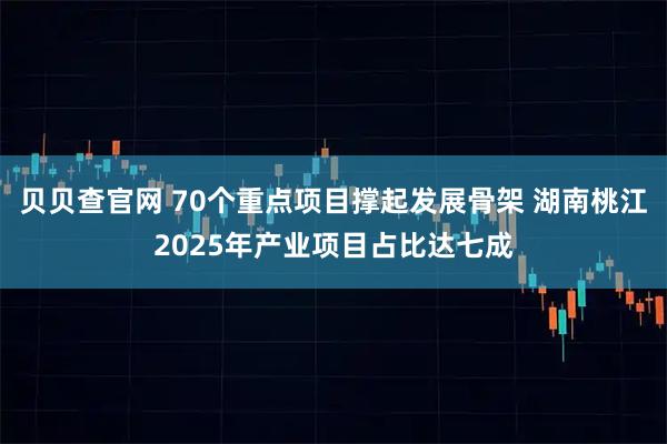 贝贝查官网 70个重点项目撑起发展骨架 湖南桃江2025年产业项目占比达七成