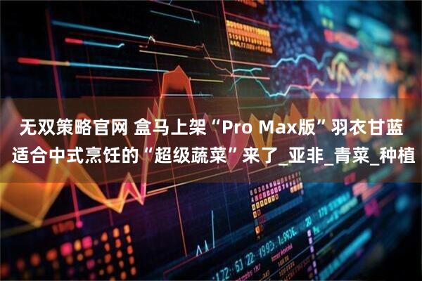 无双策略官网 盒马上架“Pro Max版”羽衣甘蓝 适合中式烹饪的“超级蔬菜”来了_亚非_青菜_种植