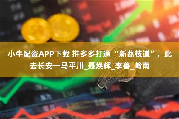 小牛配资APP下载 拼多多打通 “新荔枝道”，此去长安一马平川_聂焕辉_李善_岭南