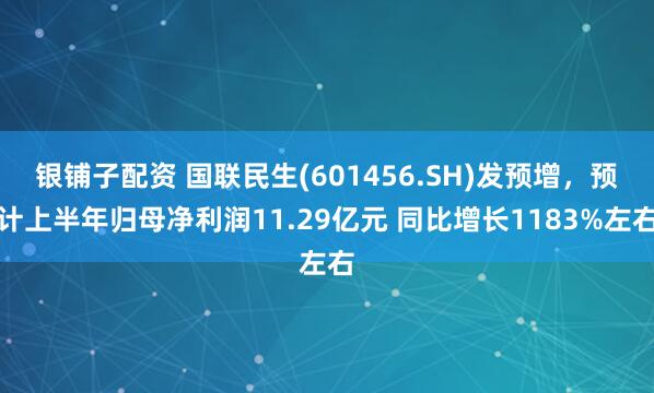 银铺子配资 国联民生(601456.SH)发预增，预计上半年归母净利润11.29亿元 同比增长1183%左右