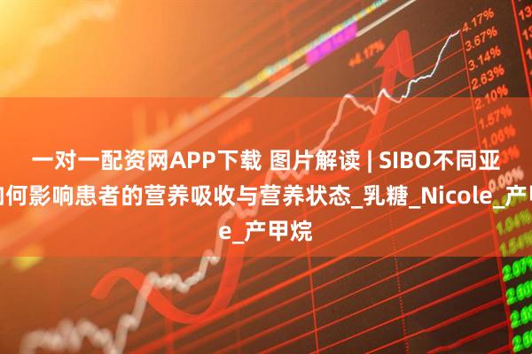 一对一配资网APP下载 图片解读 | SIBO不同亚型如何影响患者的营养吸收与营养状态_乳糖_Nicole_产甲烷