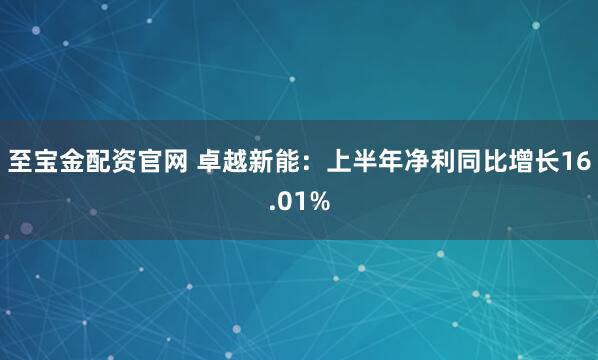 至宝金配资官网 卓越新能：上半年净利同比增长16.01%