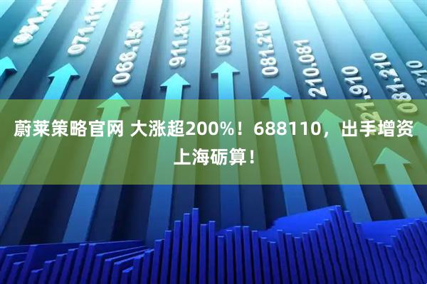 蔚莱策略官网 大涨超200%！688110，出手增资上海砺算！